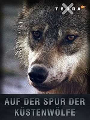 The Hidden Trail: Tracking Canadas Coastal Wolves - netflix