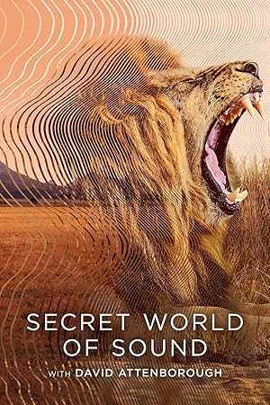 Secret World of Sound with David Attenborough - netflix