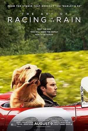 The Art of Racing in the Rain - netflix