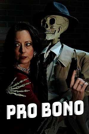 Pro Bono - netflix