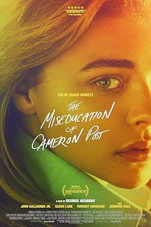 The Miseducation of Cameron Post - netflix