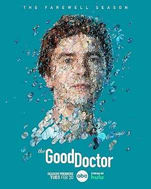 The Good Doctor - netflix