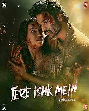 Tere Ishk Mein - netflix