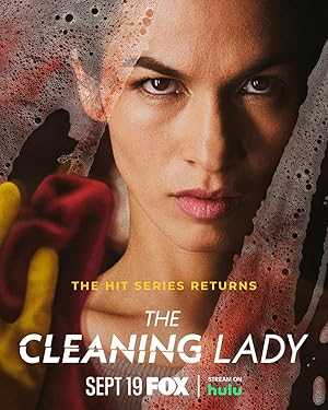 The Cleaning Lady - netflix
