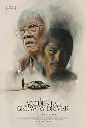 The Accidental Getaway Driver - netflix