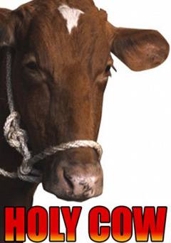 Holy Cow - Amazon Prime