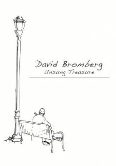 David Bromberg: Unsung Treasure