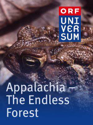Appalachia - The Endless Forest