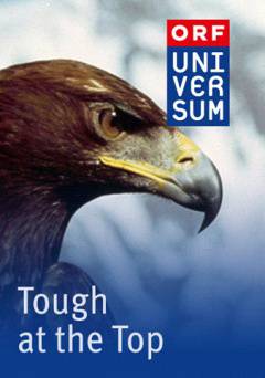 Tough at the Top - Amazon Prime