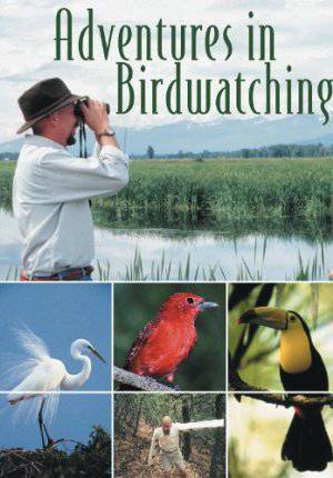 Adventures in Birdwatching
