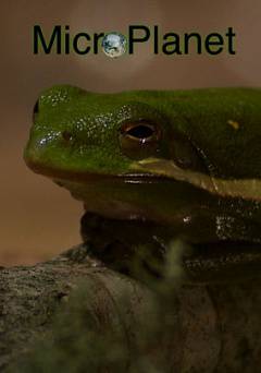 MicroPlanet - HULU plus