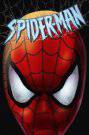 Spider-Man: The Animated Series - TV Series