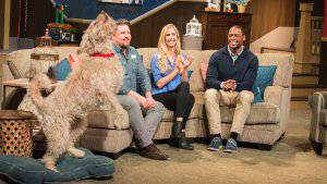 Pet Talk