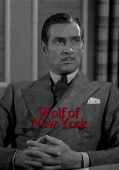 Wolf of New York