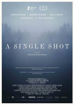 A Single Shot - amazon prime