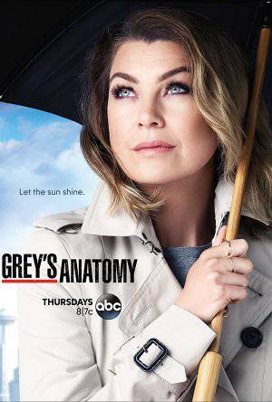 Greys Anatomy - netflix