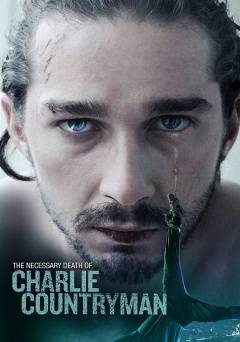 Charlie Countryman - Movie
