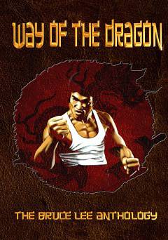 Return of the Dragon - Movie