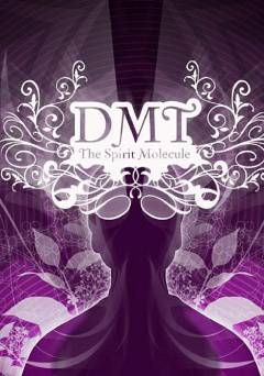 DMT: The Spirit Molecule