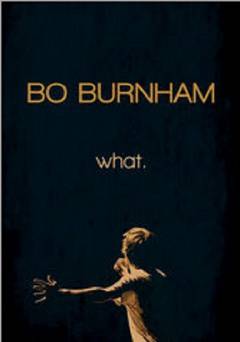 Bo Burnham: what.