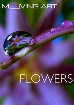 Moving Art: Flowers - Movie