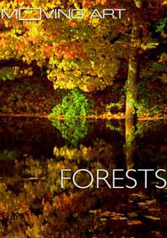 Moving Art: Forests - netflix