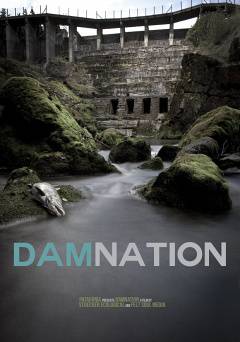 DamNation