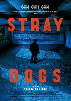 Stray Dogs - Movie