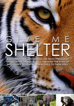 Give Me Shelter - Movie