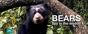 Bears: Spy in the Woods - Movie