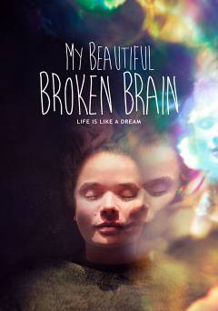 My Beautiful Broken Brain - netflix