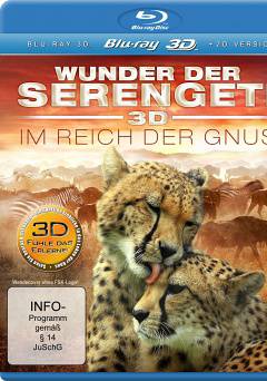 The Wildebeest Migration - netflix