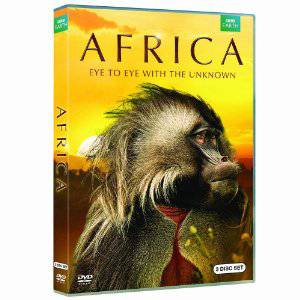 Africa - netflix