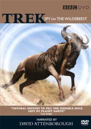 Trek: Spy on the Wildebeest - TV Series