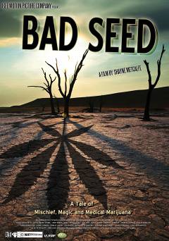 Bad Seed: A Tale of Mischief, Magic and Medical Marijuana