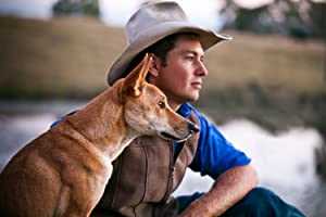 Dingo - Wild Dog at War - tubi tv