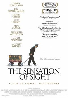 The Sensation of Sight - Movie