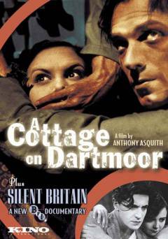 A Cottage on Dartmoor / Silent Britain