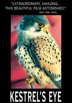Kestrels Eye - Amazon Prime