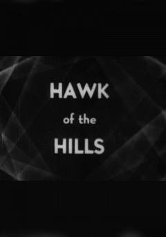 Hawk of the Hills