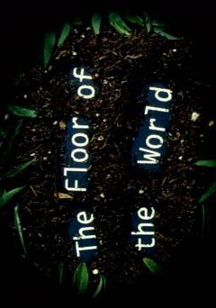 The Floor of the World - fandor
