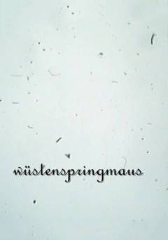 Wüstenspringmaus - fandor
