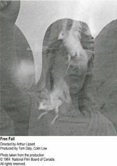 Free Fall