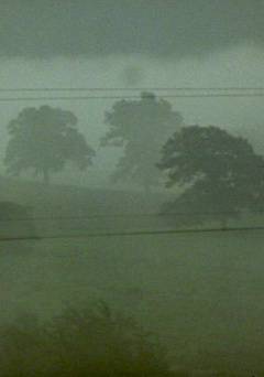 Fog Line - fandor
