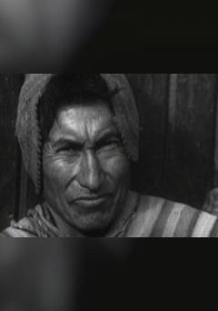 El sueño del pongo - fandor