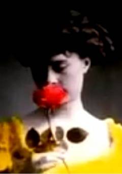 Three American Beauties