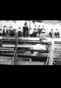 Bucking Broncho