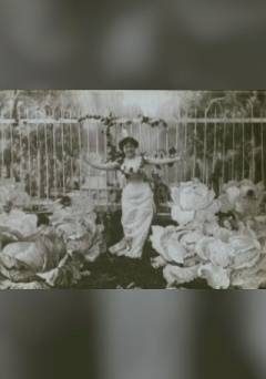 The Cabbage-Patch Fairy