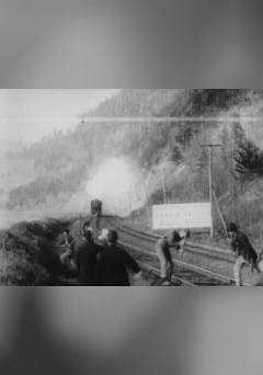 New Black Diamond Express