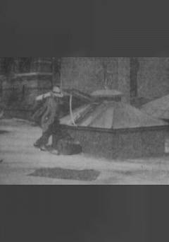 The Burglar on the Roof